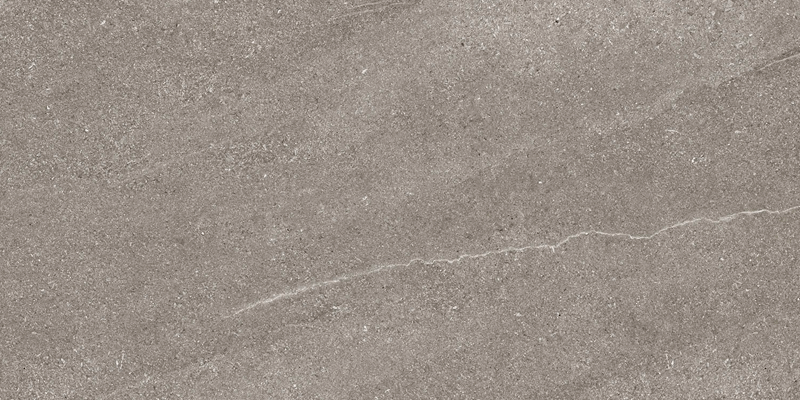 Gray Matt 60x120