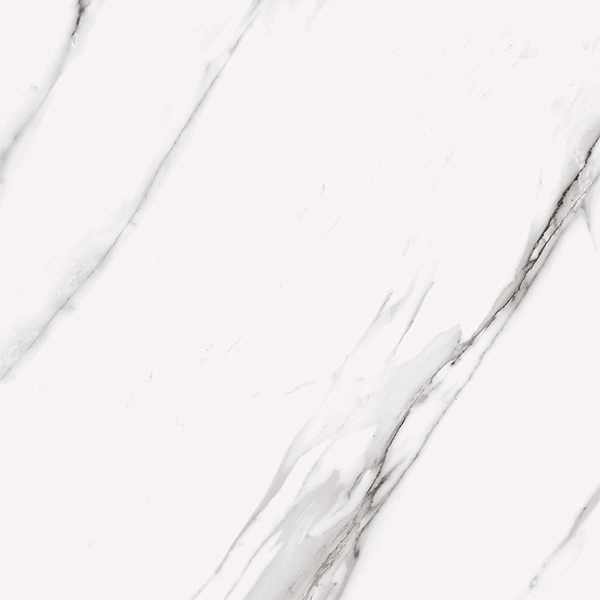 White Lapp. 60x60