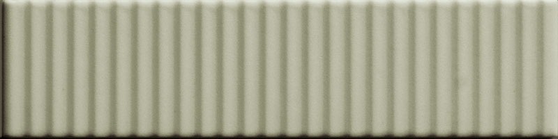 Strip Salvia 5x20