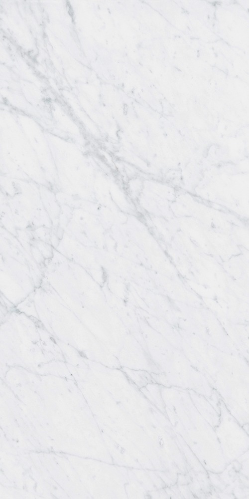 41zero42 Italic Carrara  60 120