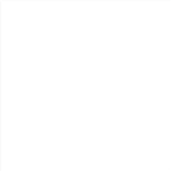 White Глянцевый 10x10