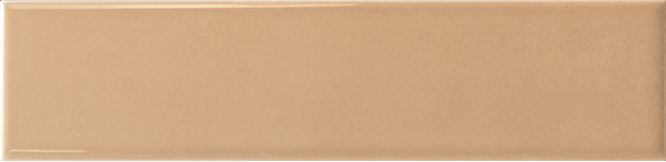 Agofat Glossy 6x24,6