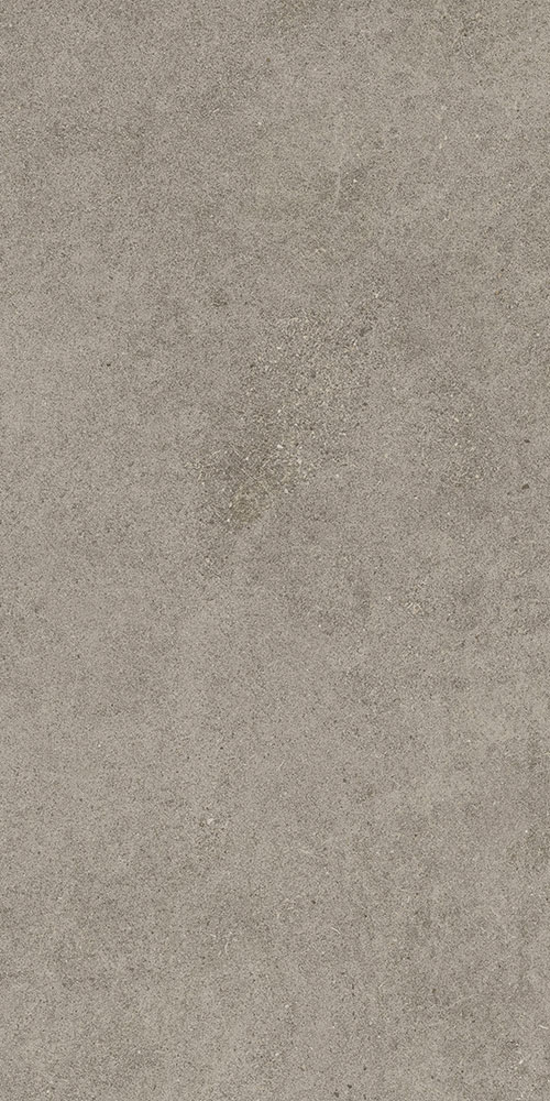 Lunar Grey 60x120