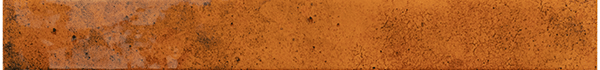 31551  Ginger 5х40