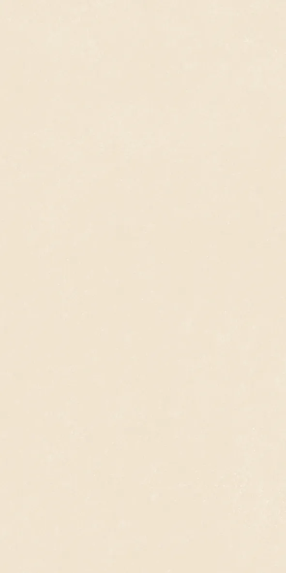 NOK IVORY 60x120