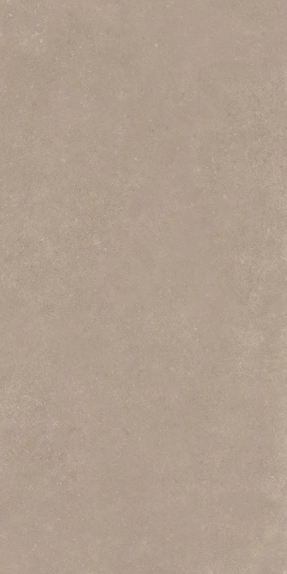 NOK TAUPE 60x120
