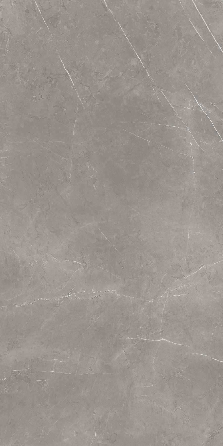 Elegant Grey Сатинированная 60x120