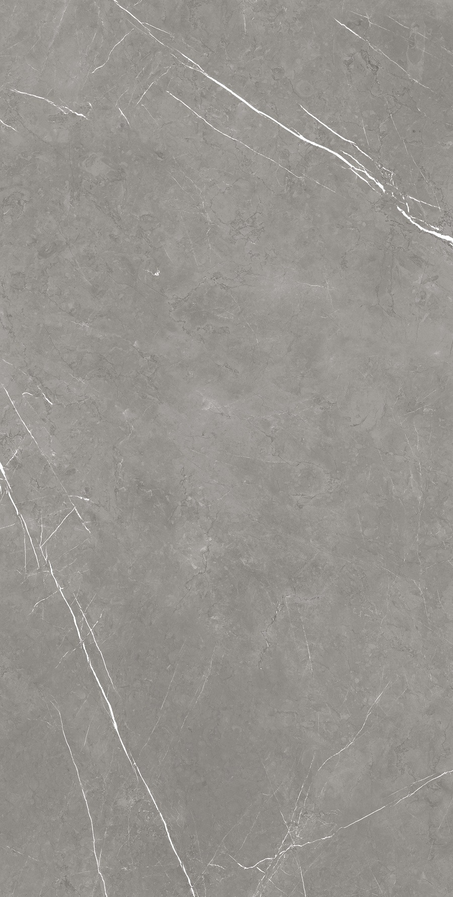 Elegant Grey Matt 80x160