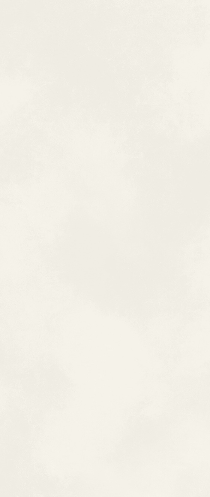 Pure Matt 50x120
