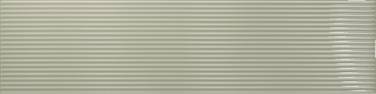Salvia Gloss 6,5x26,1