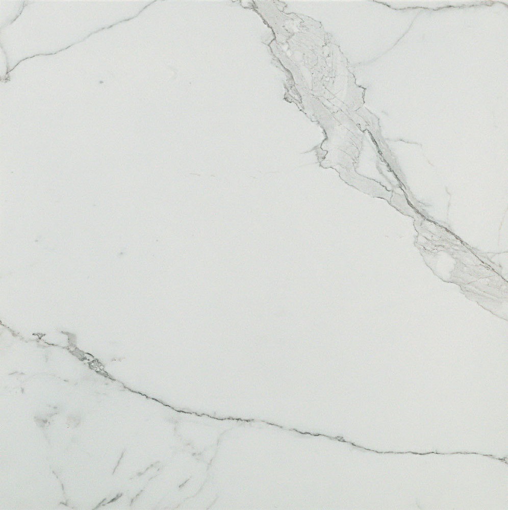 Calacatta Extra Matt 60x60