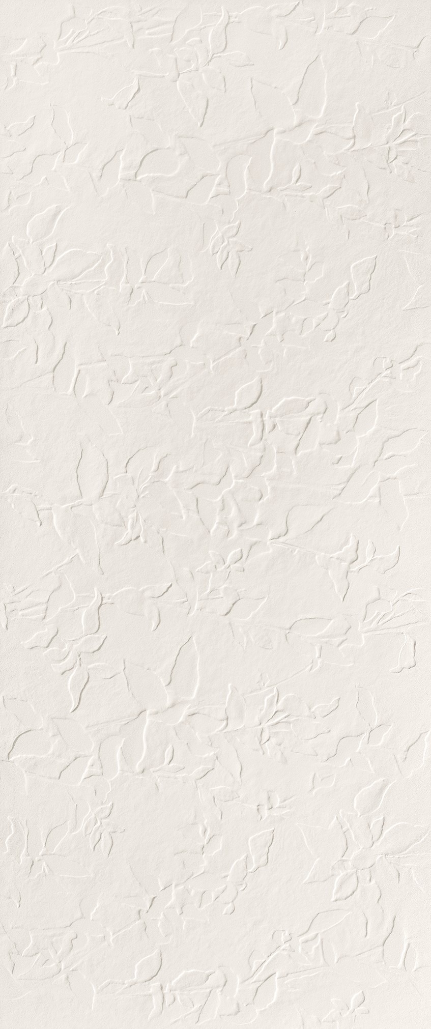 Jasmine White 50x120