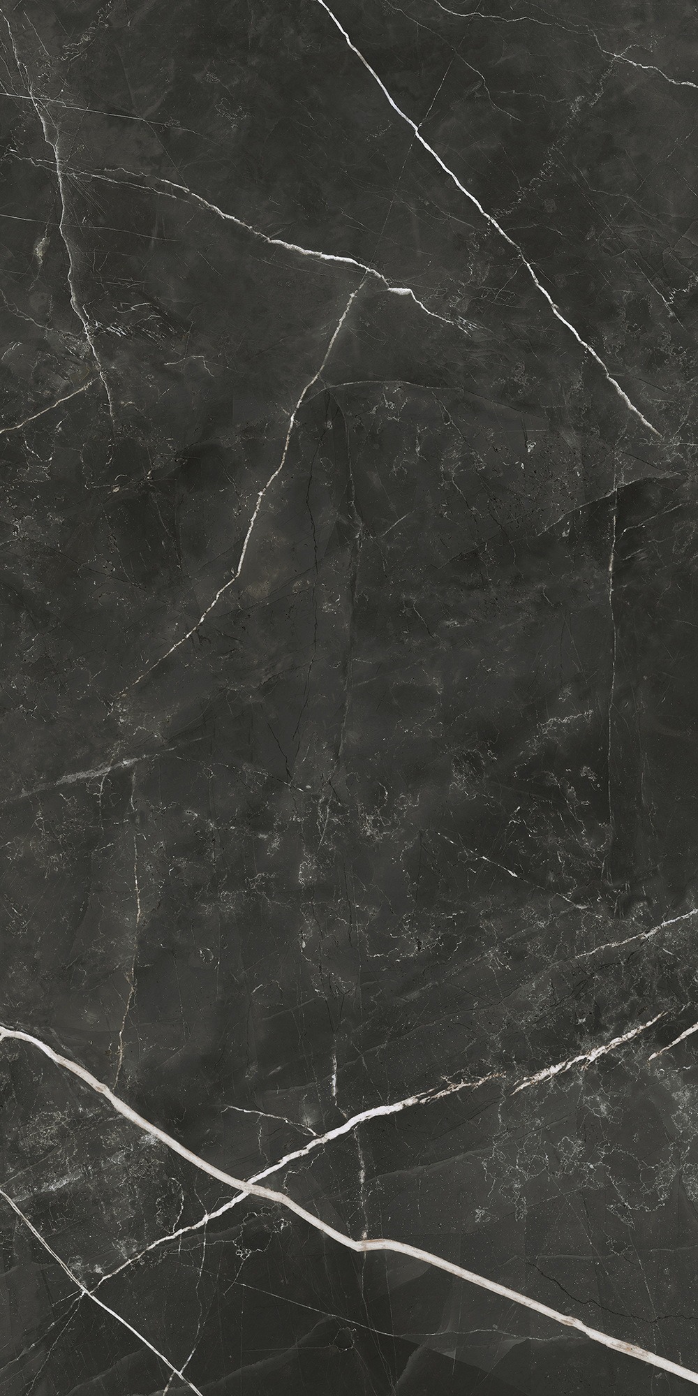 Calacatta Black 9 mm 120x120