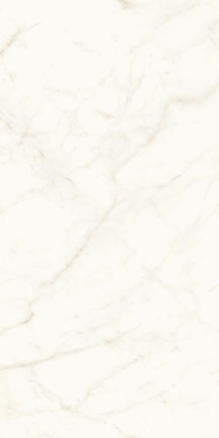 Calacatta Delicato Matte 60x120