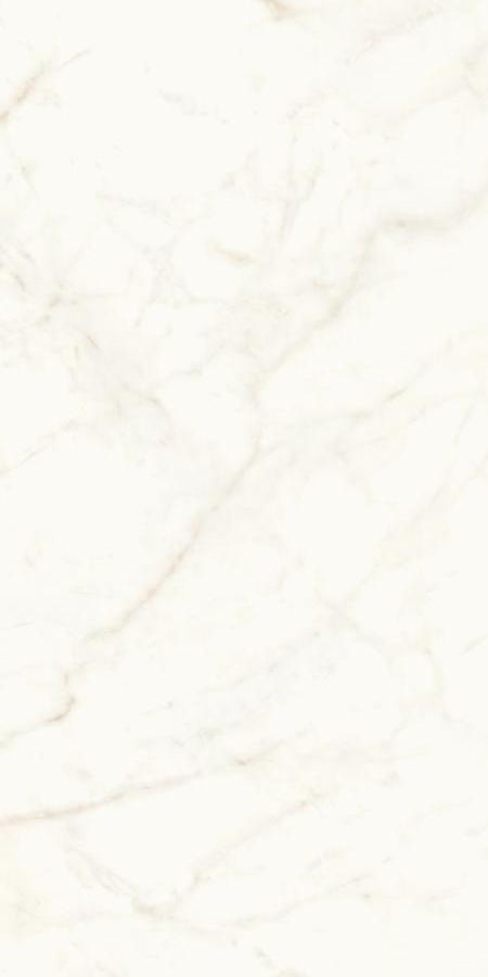 Calacatta Delicato Polished 60x120