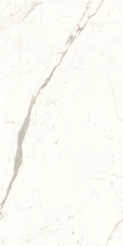 Calacatta Prestigio Matte 60x120
