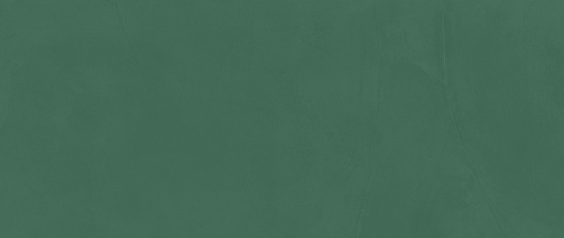 Emarald Matte 50x120
