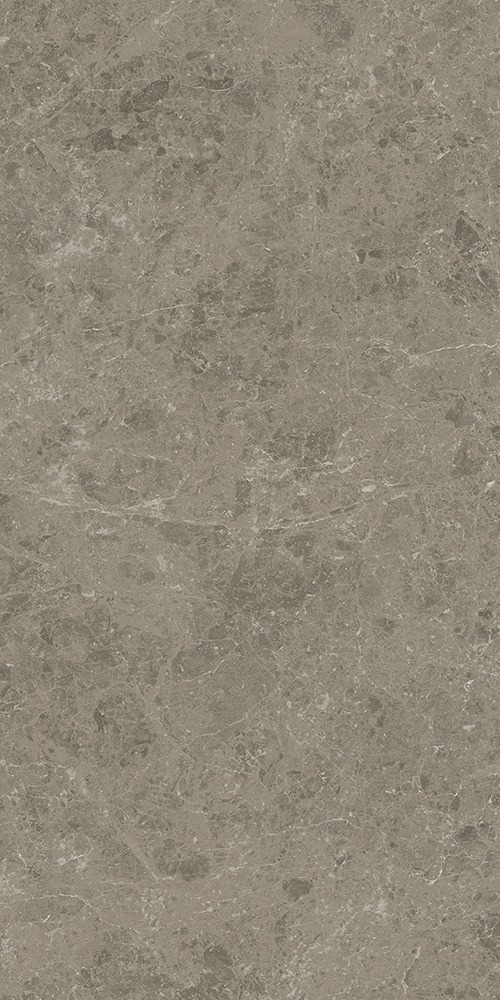 Grigio Elegante Lappato 9 mm 60x120