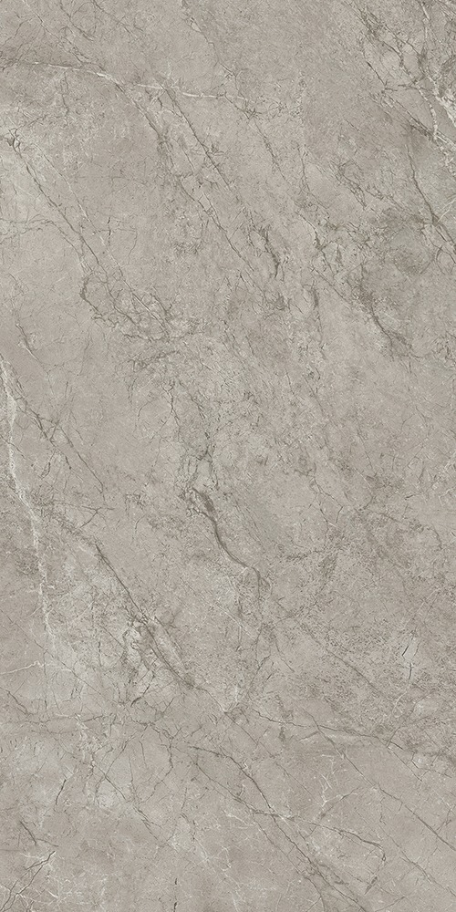 Silver Majestic Lappato 9 mm 60x120