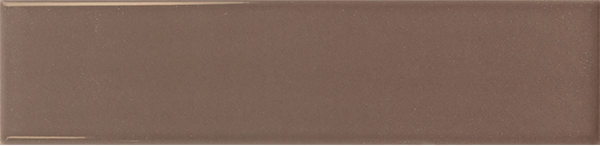 Acorn Glossy 6x24,6