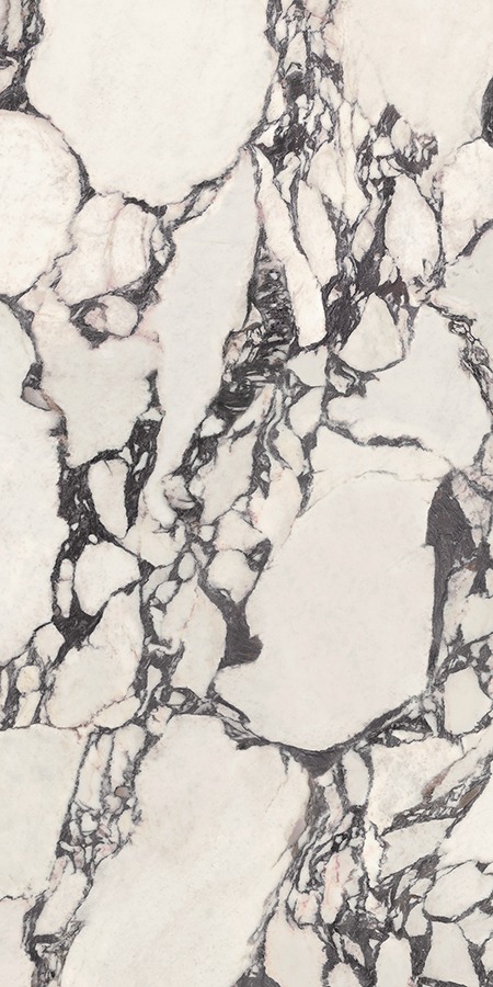 Calacatta Viola Lappato 60x120