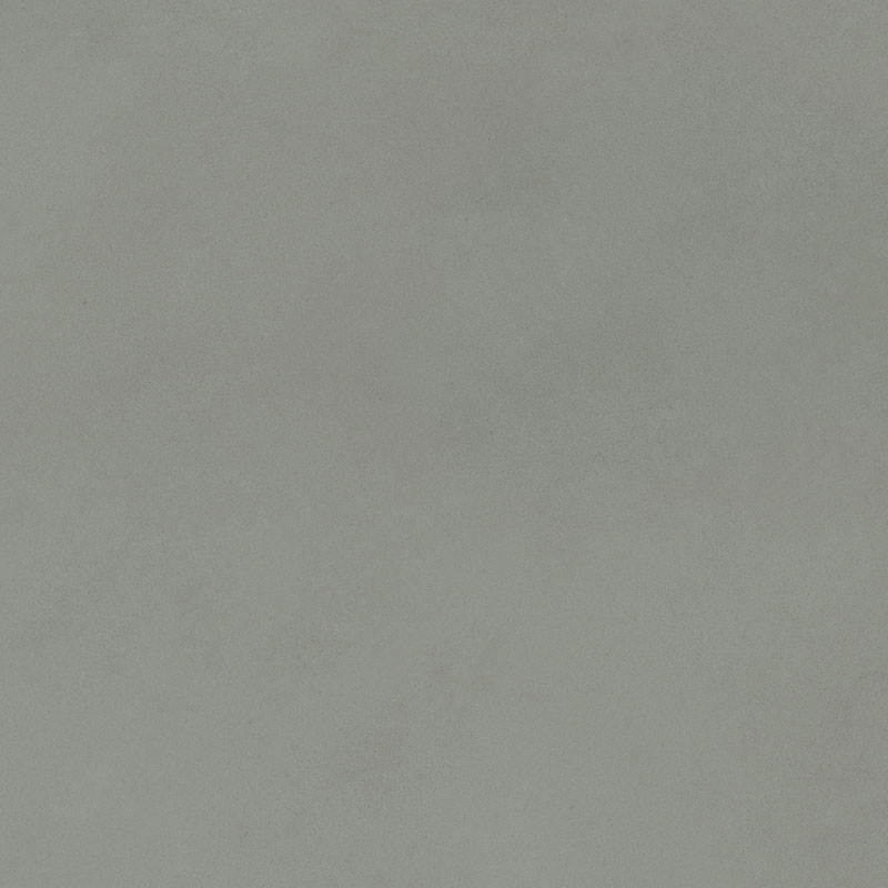 Salvia 80x80