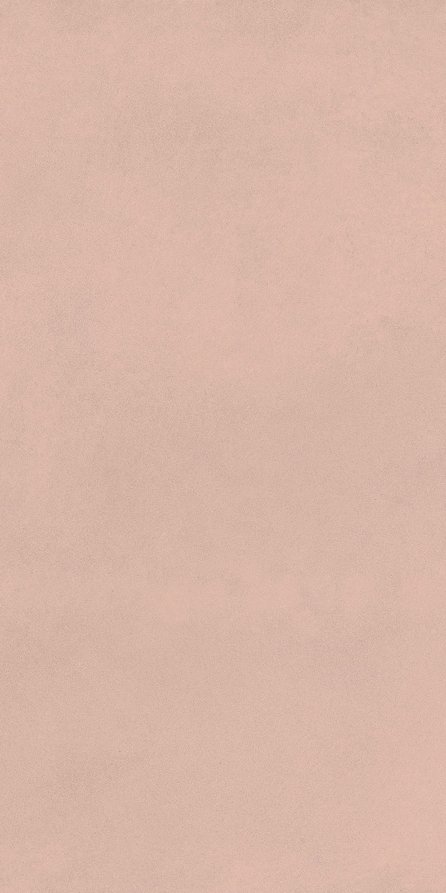 Rose 60x120