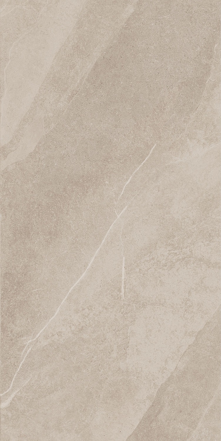 Taupe 60x120