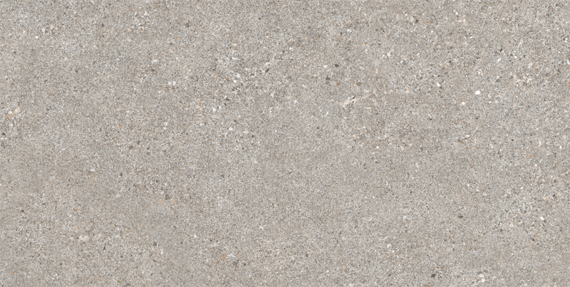 GREY AS C/R 60х120 BN-116