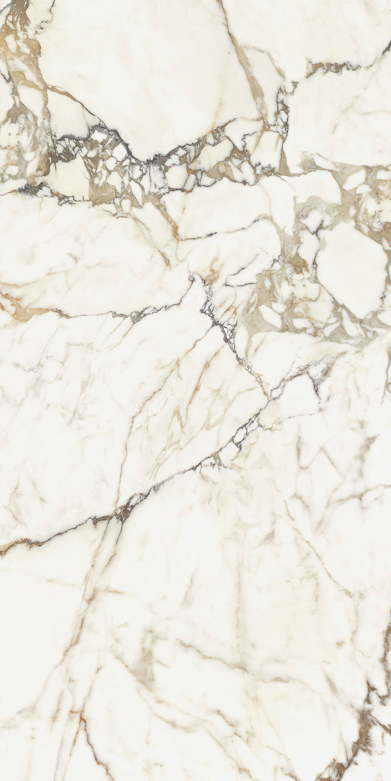 Luce Oro Satin 60x120