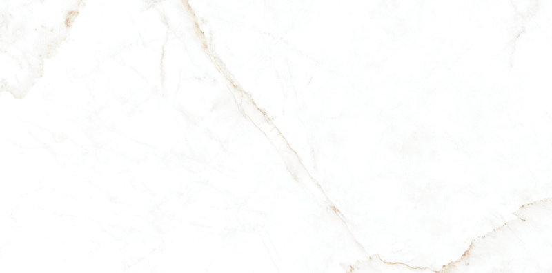 Dual White Nt 60х120x10 M-101