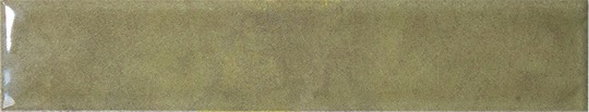 Liquen Gloss 2x16