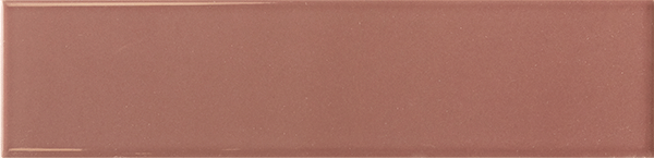 Roan Rouge Glossy 6x24,6